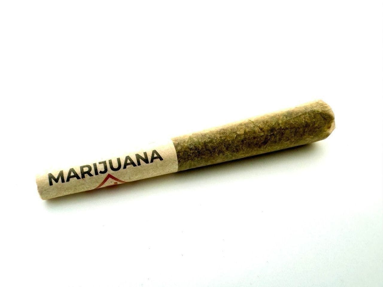 Safe Bet - Safe Bet | 5G | Infused Joint | 0.5g - 1