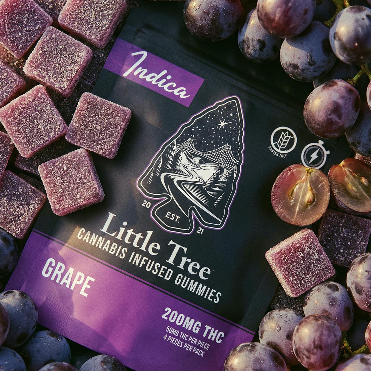 Little Tree - Little Tree Grape Distillate Gummies – 200MG - 1