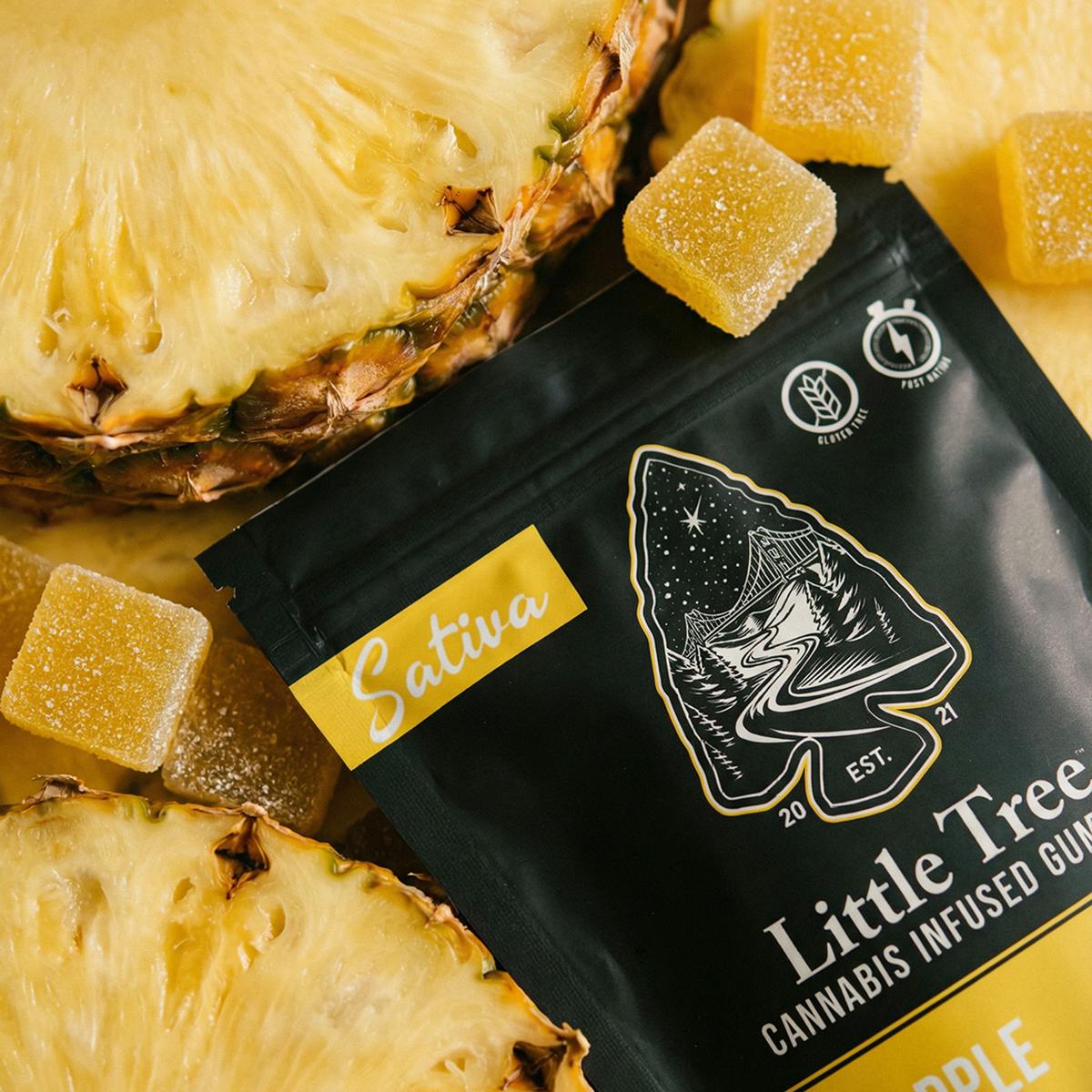 Little Tree - Little Tree Pineapple Distillate Gummies – 200MG - 1