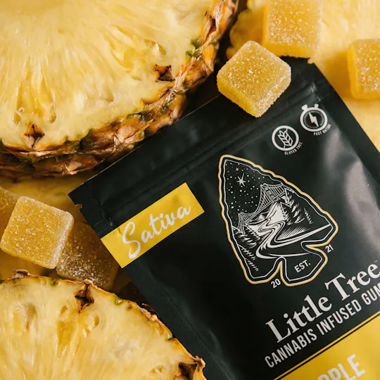 Little Tree - Little Tree Pineapple Distillate Gummies – 200MG - 1