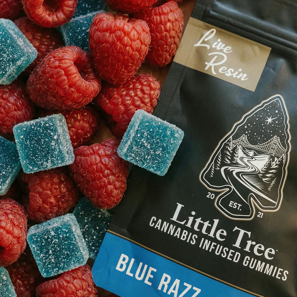 Little Tree - Little Tree Blue Razz Live Resin Gummies – 200MG - 1