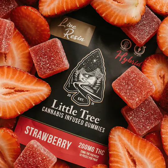 Little Tree - Little Tree Strawberry Live Resin Gummies – 200MG - 1