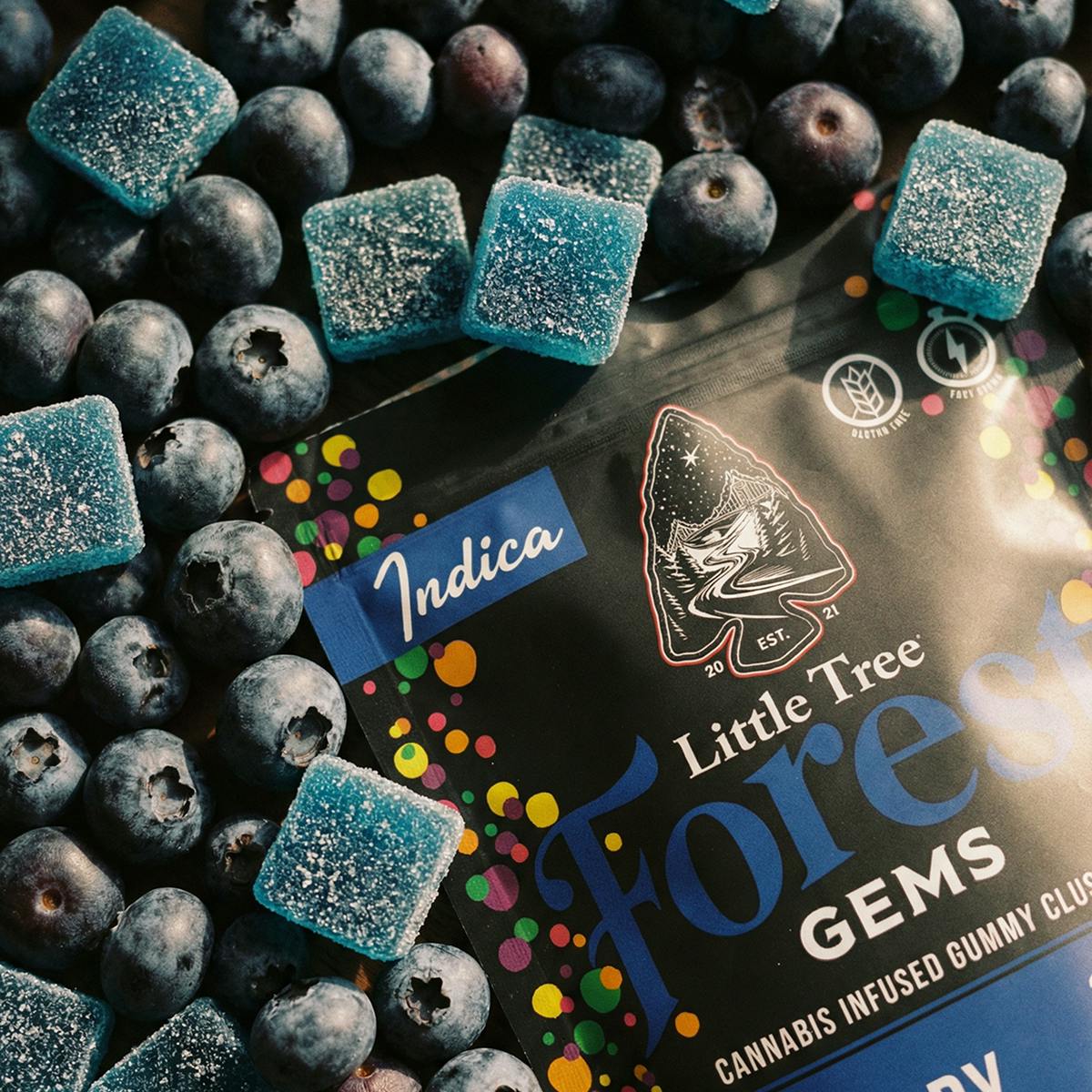 Little Tree - Little Tree Forest Gems Blueberry – 200MG - 1