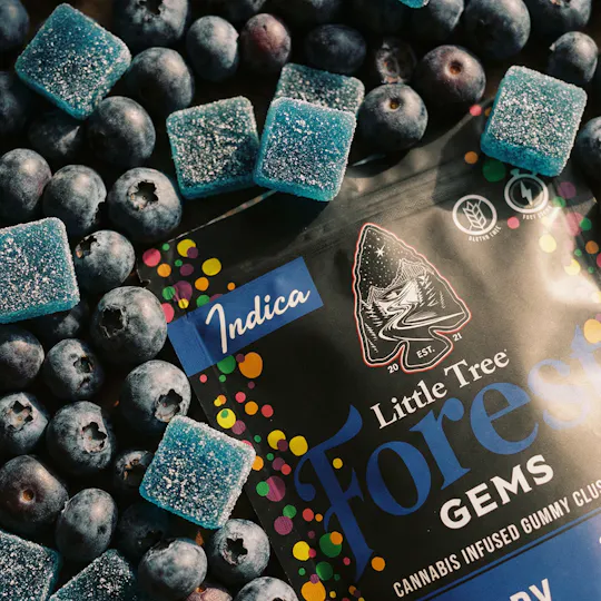 Little Tree - Little Tree Forest Gems Blueberry – 200MG - 1