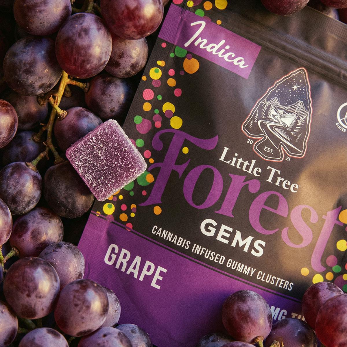 Little Tree - Little Tree Forest Gems Grape – 200MG - 1