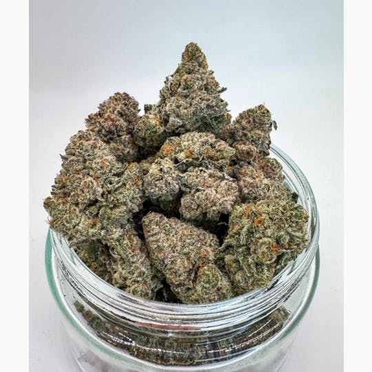 Mother Magnolia Cannabis Co - Mother Magnolia - Bulk Flower - Biscotti Payton - 1