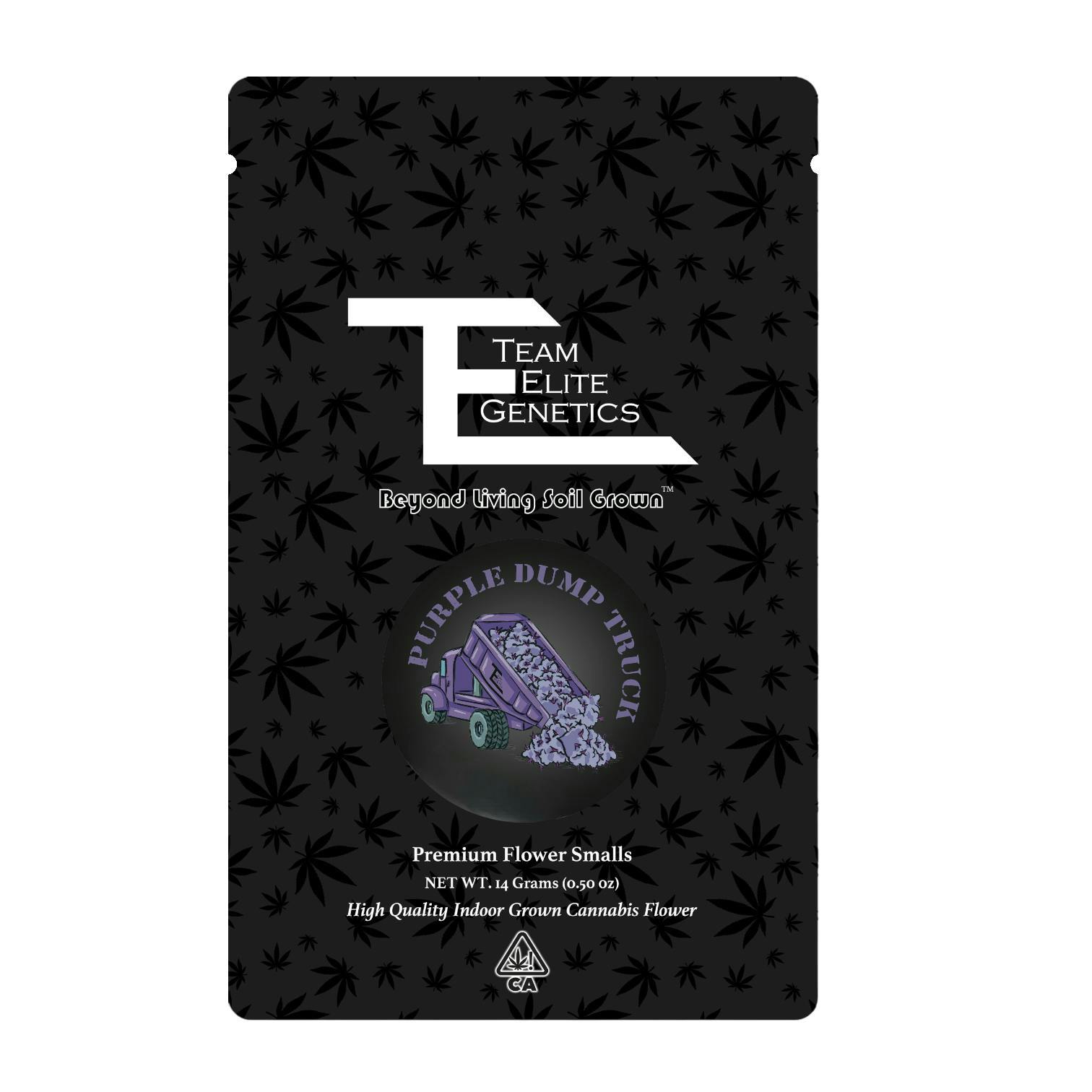 Team Elite Genetics - Purple Dump Truck | Smalls | 14g - 1