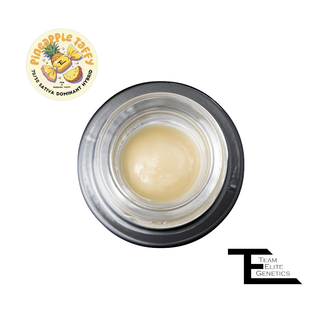 Team Elite Genetics - Pineapple Taffy | Cold Cure Badder | 0.5g - 1