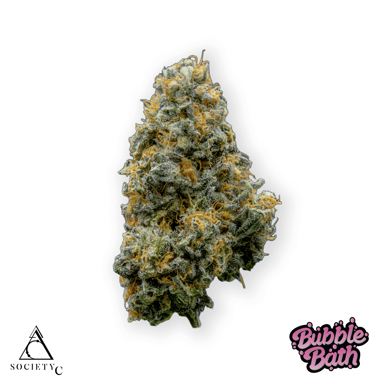Society C - Society C | Bubble Bath | Big Buds | 3.5g - 1
