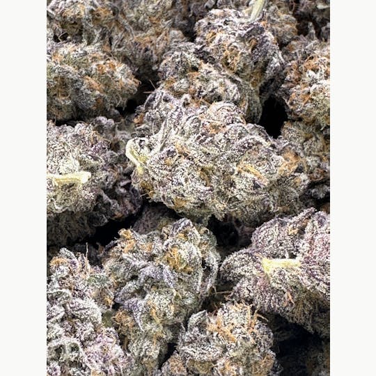 SIRIUS RESEARCH LLC - White truffle cheese (Secret cheese x Gorilla butter v2) - 1