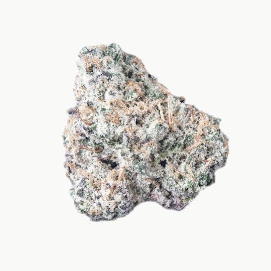 Lift Tickets - Orange Gelato - Brilliance Infused Flower 3.5g - Sativa - 1