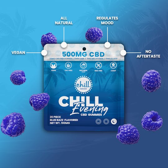 Chill Medicated - 500mg CBD I Blue Razz CBD Gummies I Evening - 1