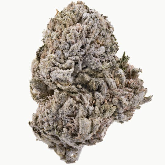 West Coast Cure - Red Velvet - 7G Diamond Infused Premium Flower - 1