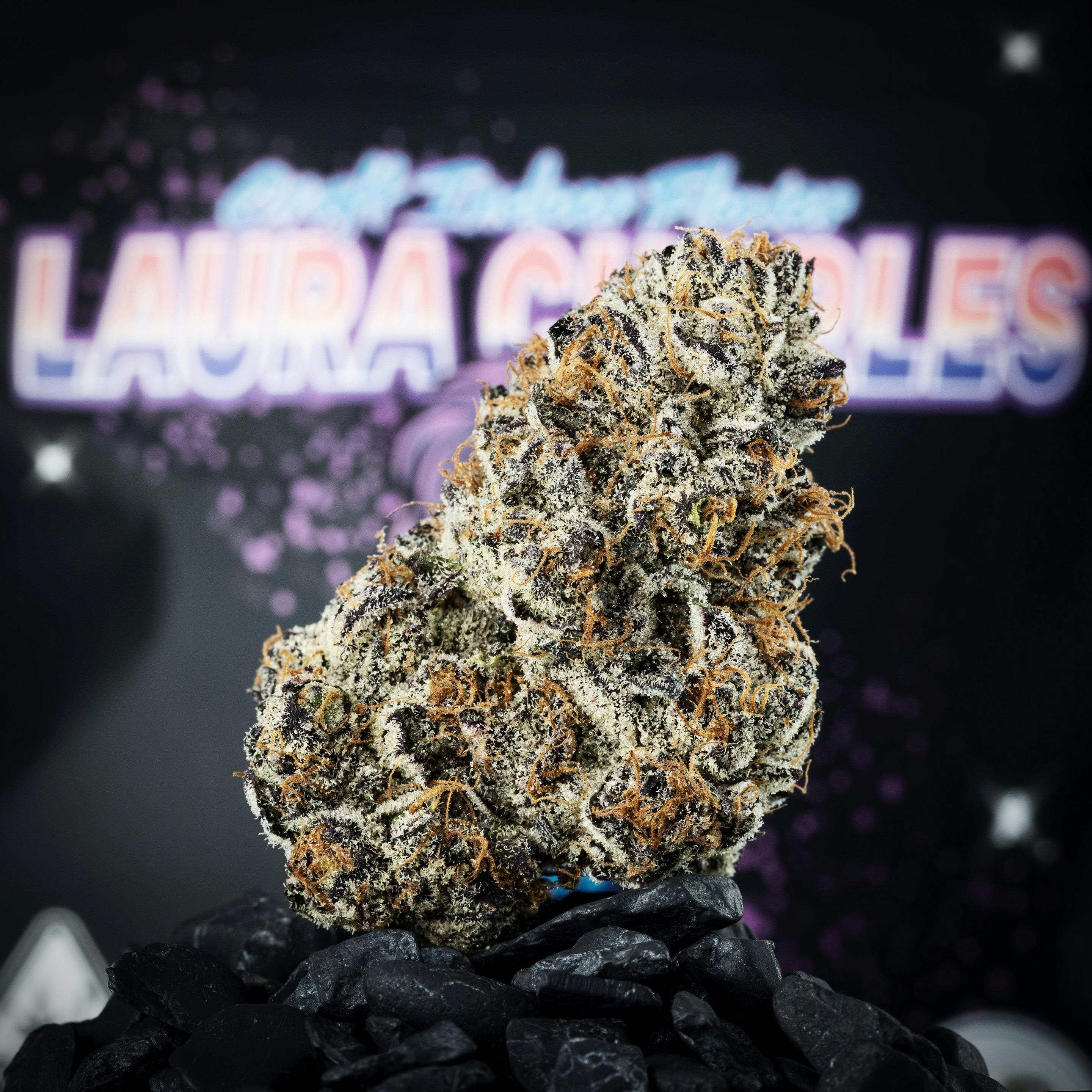 Ball Family Farms - Ball Family Farms - 4g Flower - Laura Charles - 1