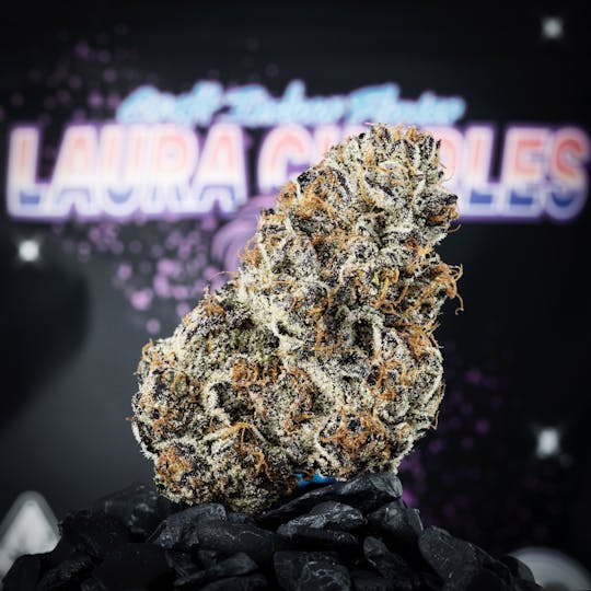 Ball Family Farms - Ball Family Farms - 4g Flower - Laura Charles - 1