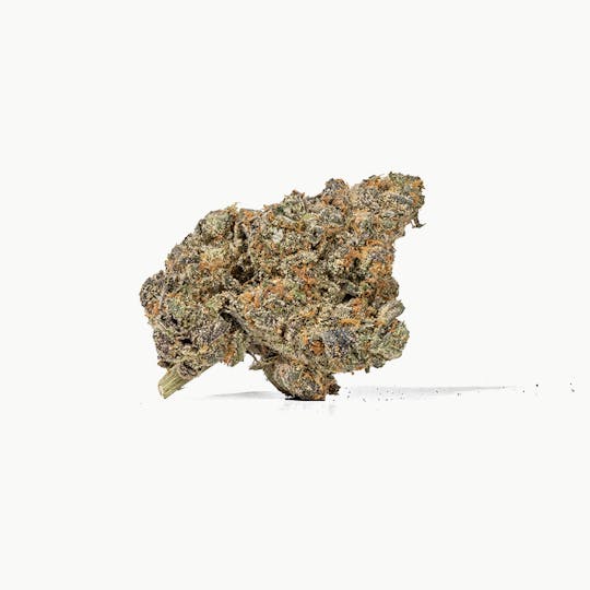 Mohave Cannabis Co. - Sayless | Mohave Half OZ | 14g - 1