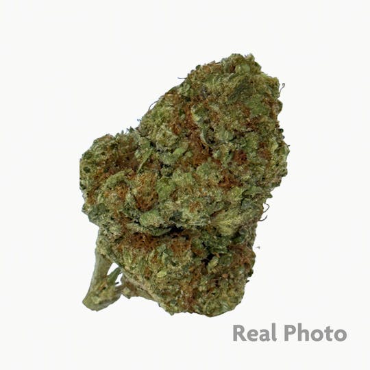 Stingers - Dosi Face - 14 gram - 1