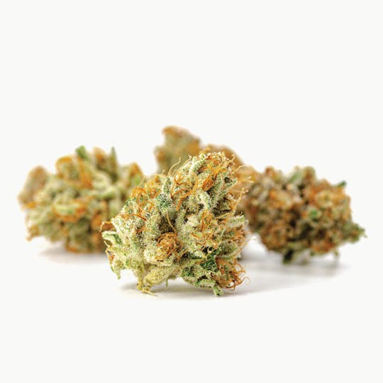 Claybourne Co. - King Louis OG (7g) - Small Buds - 1