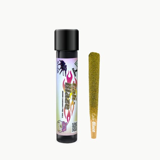 Cali-Blaze - Infused Tarantula - Banana Cream Pie - 1G - 1