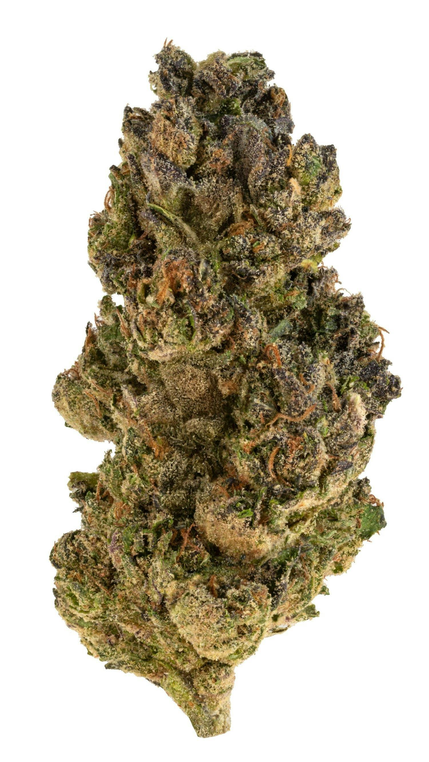 Rolling Green Cannabis - Sherbcream | Standard Flower | 3.5g - 1