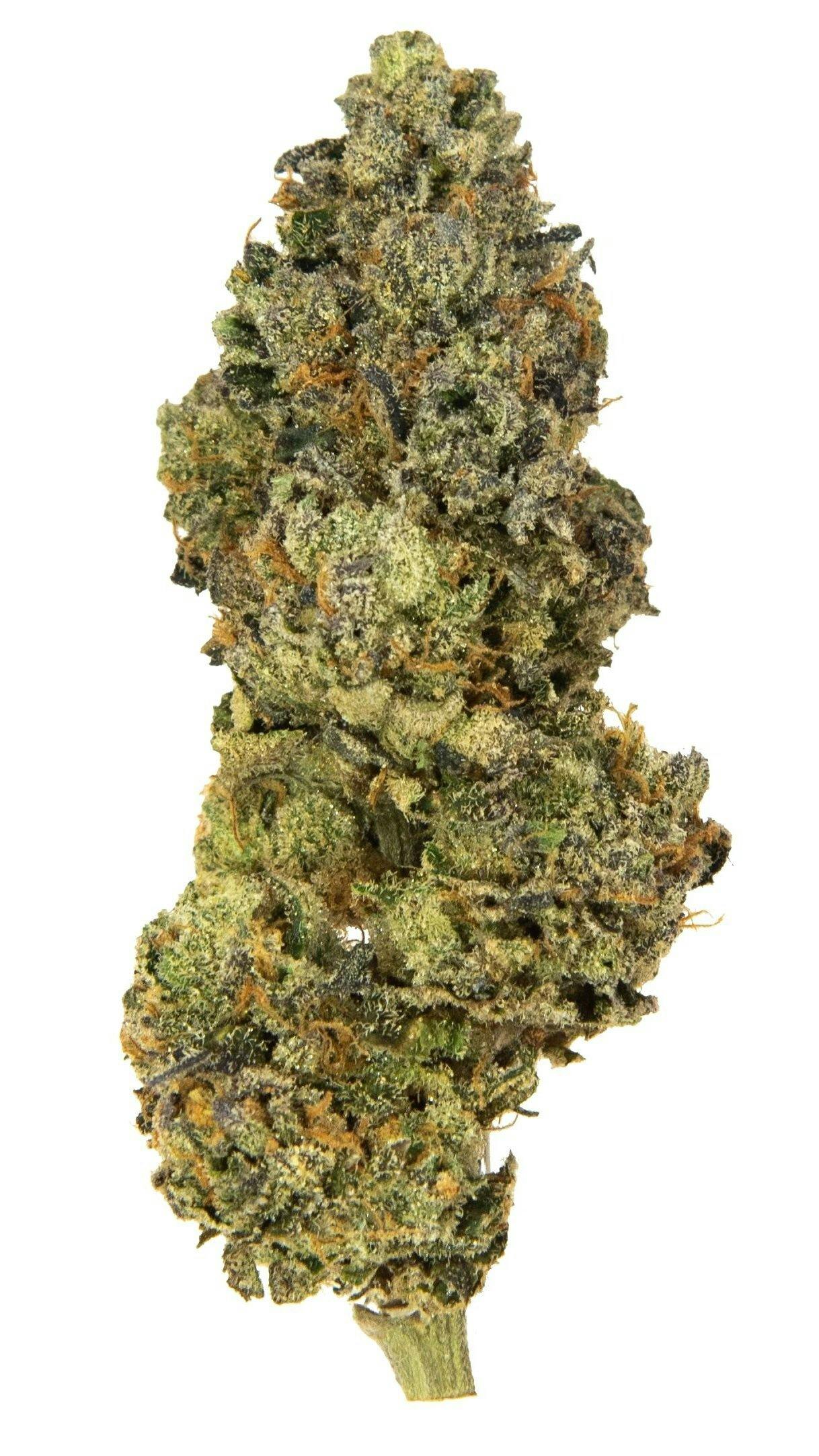 Rolling Green Cannabis - Twizzle Dance | Premium Flower | 3.5g - 1