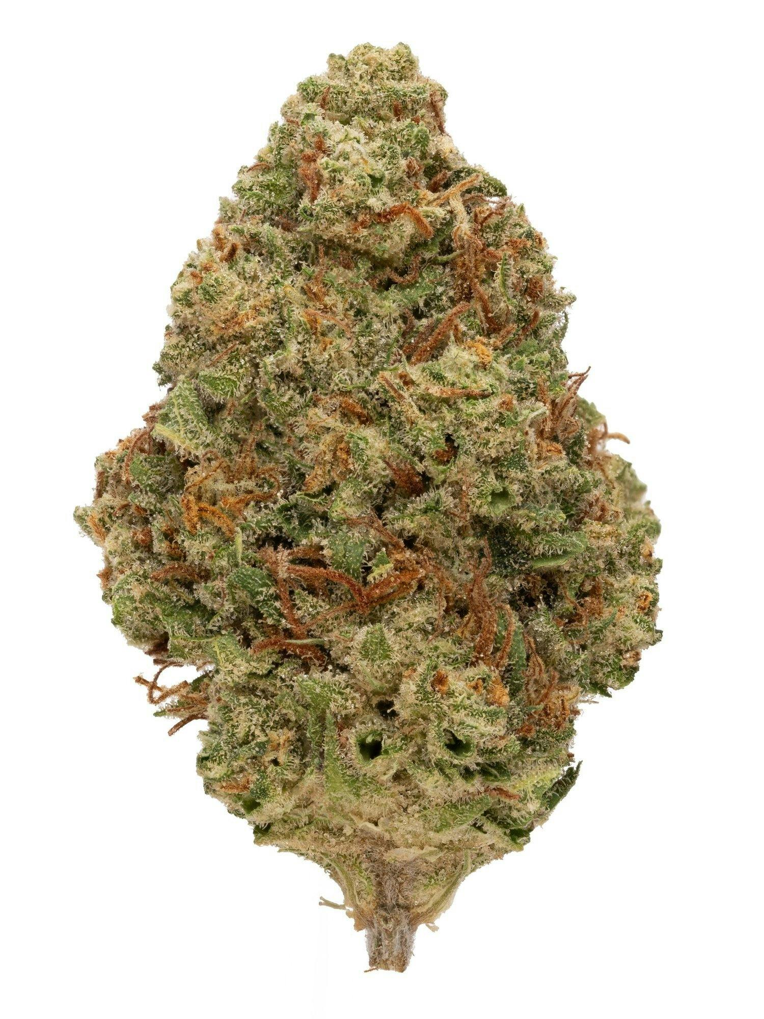 Rolling Green Cannabis - Poptart | Value Line Flower | 3.5g - 1