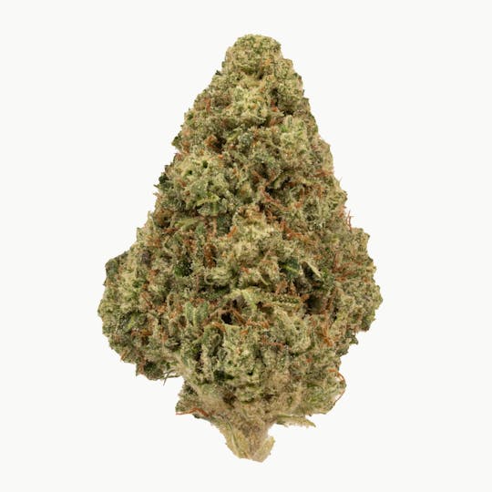 Rolling Green Cannabis - Mango Runtz | Value Line Flower | 3.5g - 1
