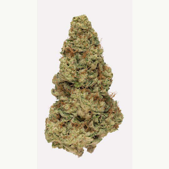 Rolling Green Cannabis - Jealousy | Standard Flower | 3.5g - 1