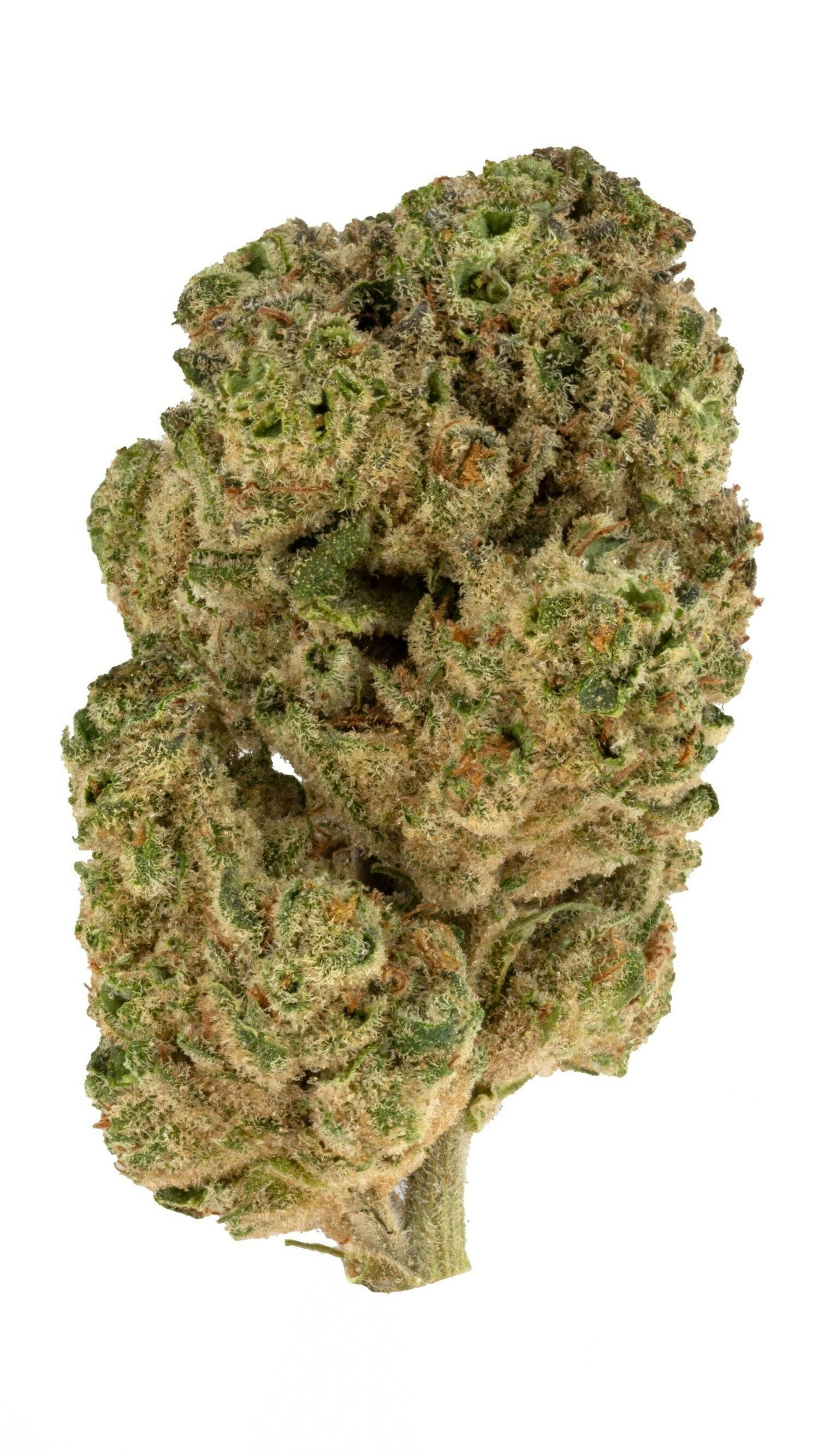 Rolling Green Cannabis - Cap Junkie | Standard Flower | 3.5g - 1