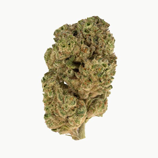 Rolling Green Cannabis - Cap Junkie | Standard Flower | 3.5g - 1