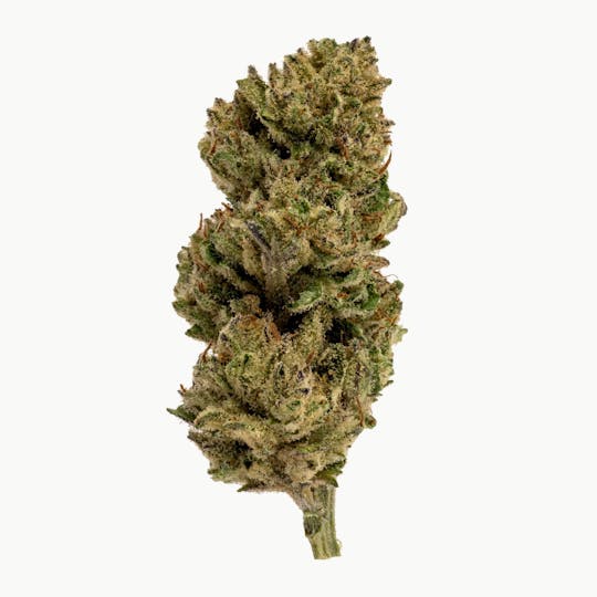 Rolling Green Cannabis - White Wedding | Value Line Flower | 3.5g - 1