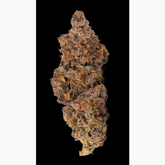 Rolling Green Cannabis - Banana Cream Jealousy | Premium Flower | 3.5g - 1