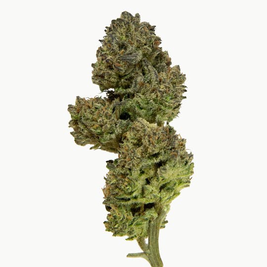 Rolling Green Cannabis - Sunset Sherbert | Value Line Flower | 3.5g - 1