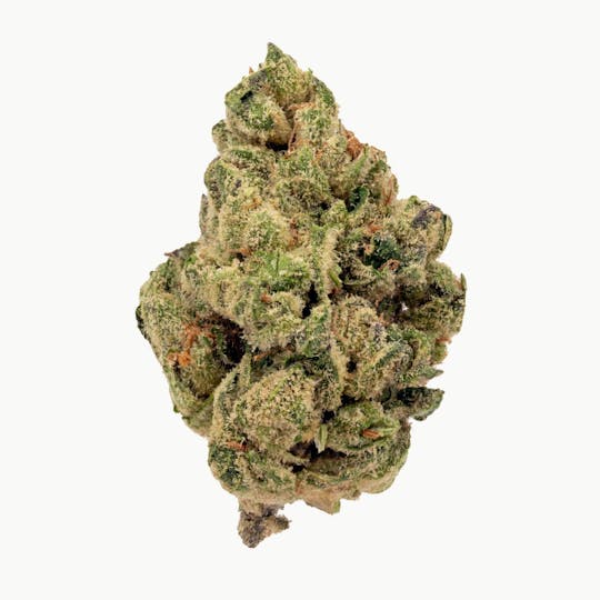 Rolling Green Cannabis - Black Scotti | Value Line Flower | 3.5g - 1