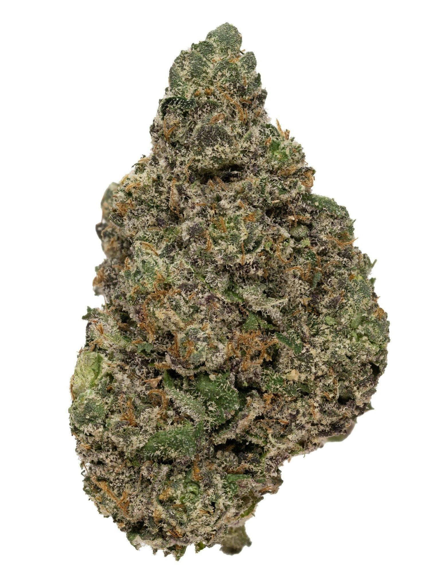 Rolling Green Cannabis - Biscotti 41 | Premium Flower | 3.5g - 1