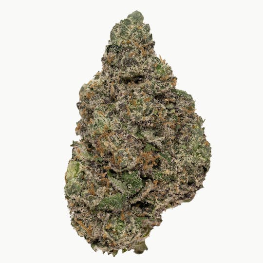 Rolling Green Cannabis - Biscotti 41 | Premium Flower | 3.5g - 1