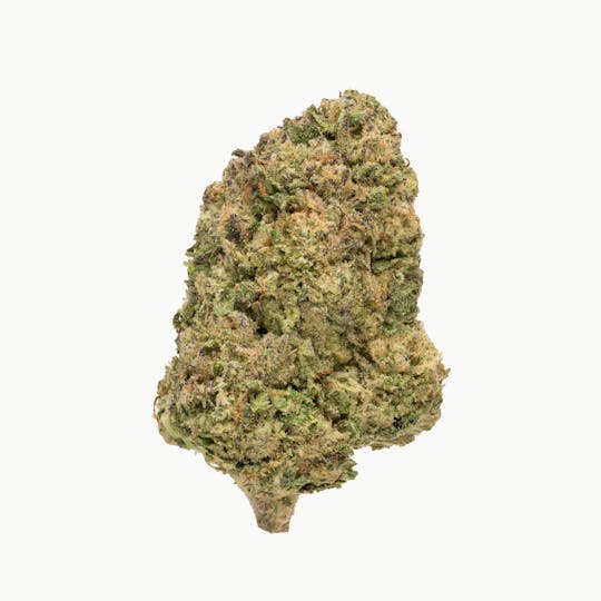 Rolling Green Cannabis - Gelato Sorbet | Value Line Flower | 3.5g - 1