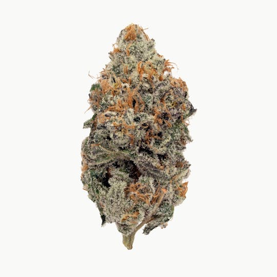 Rolling Green Cannabis - Twisted Truffles | Premium Flower | 3.5g - 1