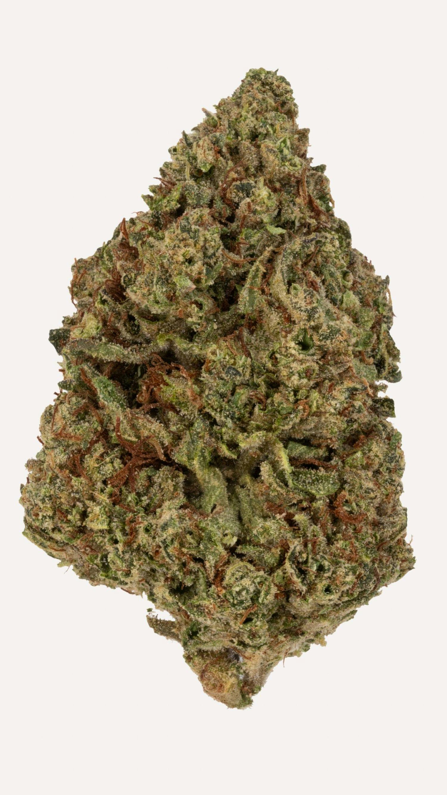 Rolling Green Cannabis - Glitter Bomb | Standard Flower | 3.5g - 1