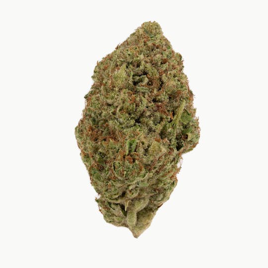 Rolling Green Cannabis - Gary Payton | Standard Flower | 3.5g - 1