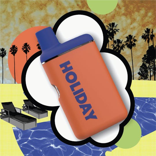HOLIDAY - LEISURE DISPOSABLE | 0.5G - 1