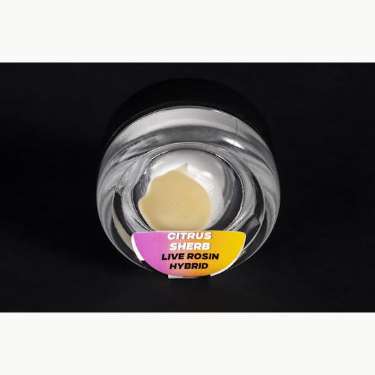 Ahti Farms - Ahti Hash | Citrus Sherb 70µ | Whipped Live Rosin - 1