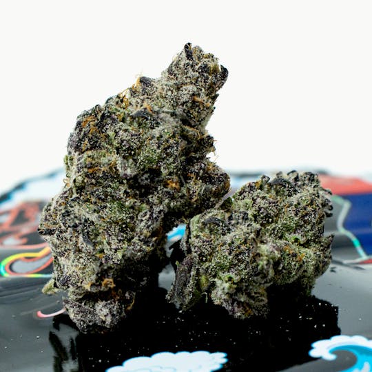 TEDS BUDZ - Black Fish - 1