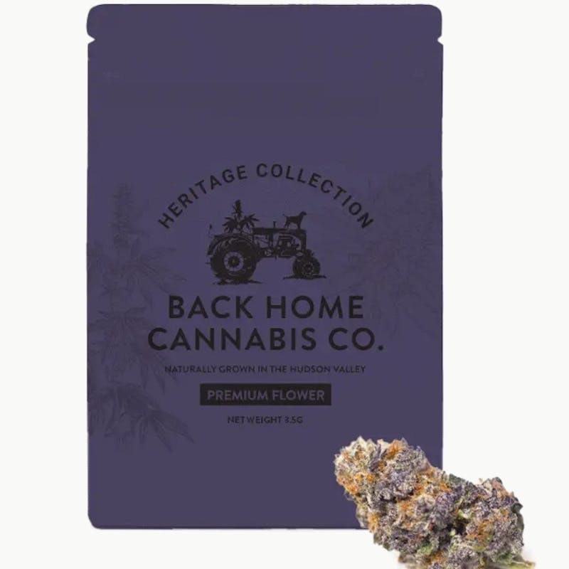 Back Home Cannabis Co. - Gorilla Glue 3.5g - 1