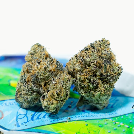 TEDS BUDZ - Blue Mahi - 1