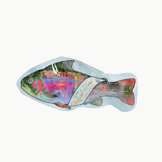 TEDS BUDZ - Rainbow Trout - 1