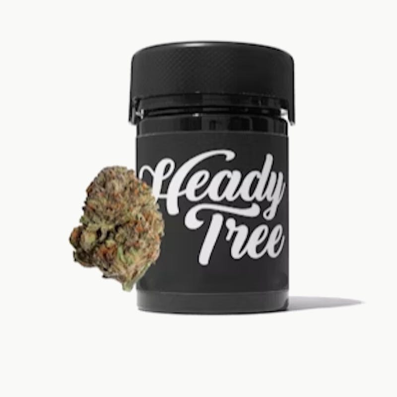 Heady Tree - Gastonaut Status 3.5g - 1