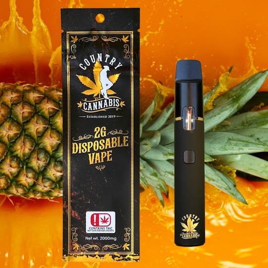 Country Cannabis - Cactus Jack | Disposable Vape | 2G - 1