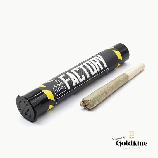 Goldkine - Factory 1G | B-jelly - 1