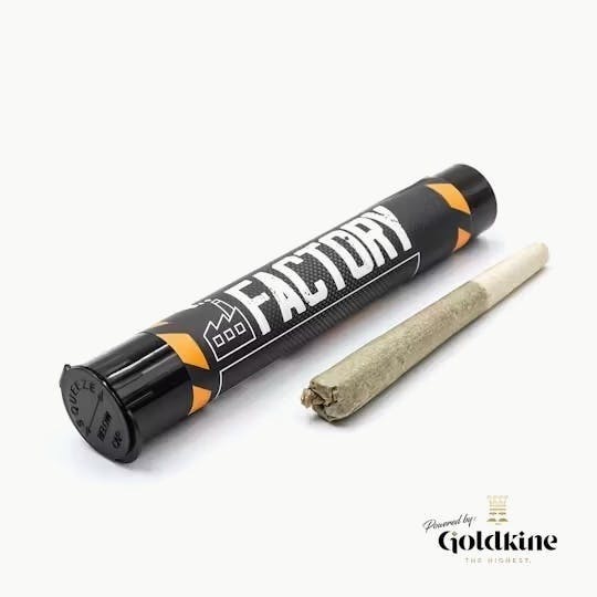 Goldkine - Factory 1G | Yellow Lion Rum - 1